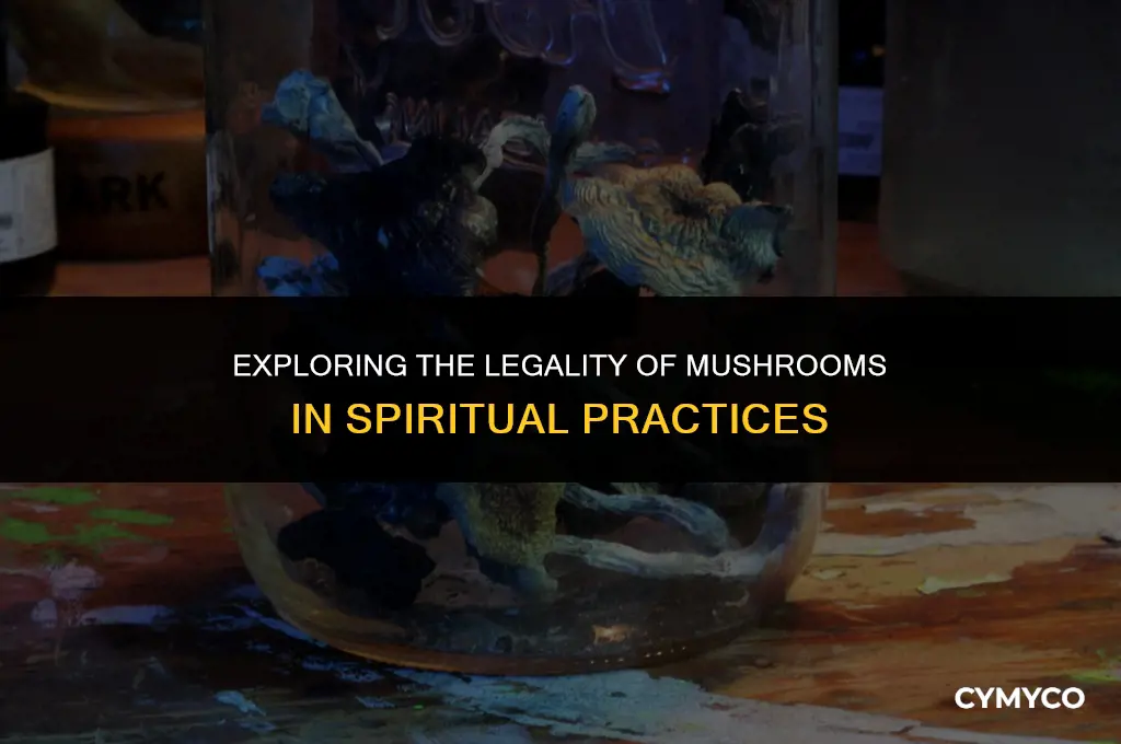 are mushrooms legal for spiritual practices