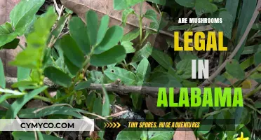Exploring the Legal Landscape of Mushrooms in Alabama