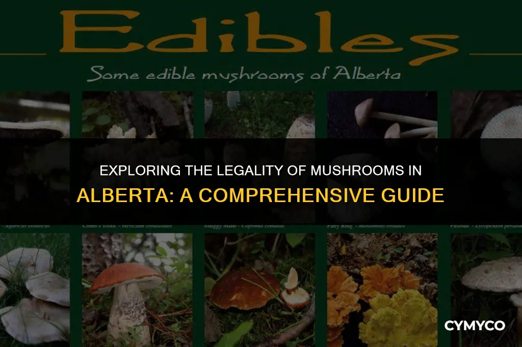 are mushrooms legal in alberta