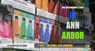 Are Mushrooms Legal in Ann Arbor? Exploring Local Laws and Regulations