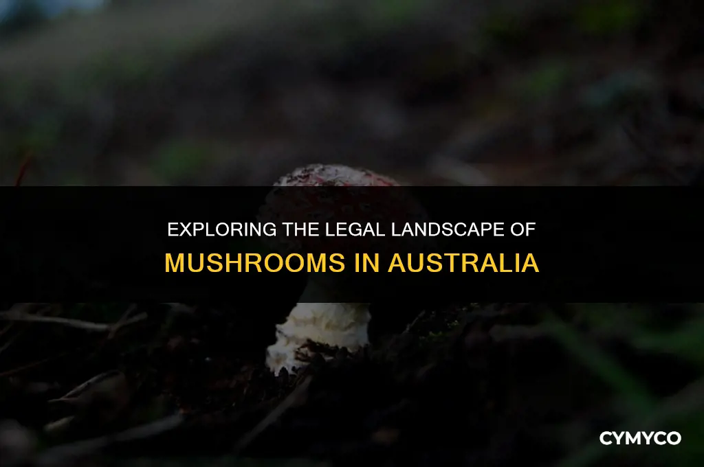 are mushrooms legal in australia