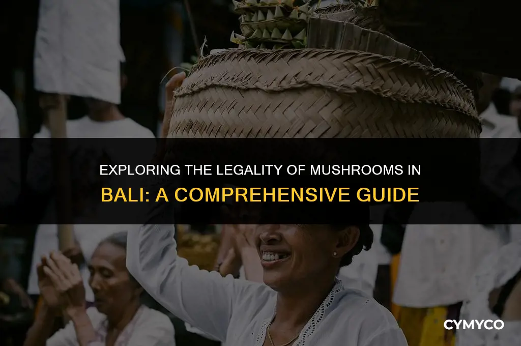 are mushrooms legal in bali
