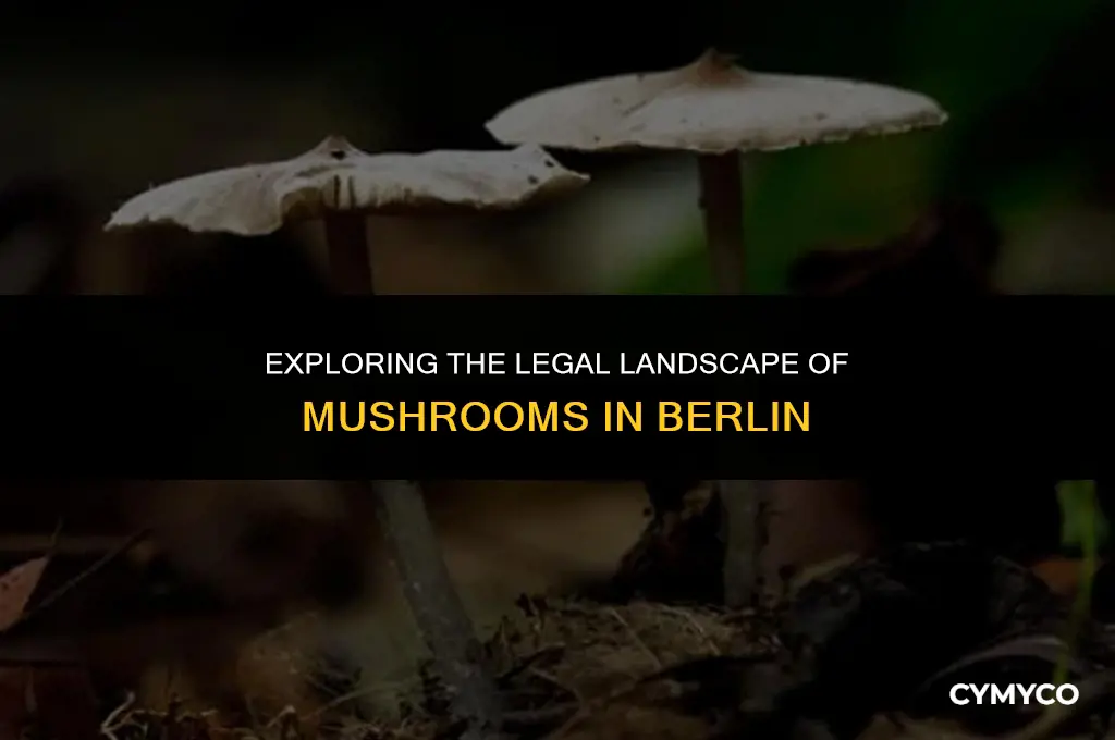 are mushrooms legal in berlin
