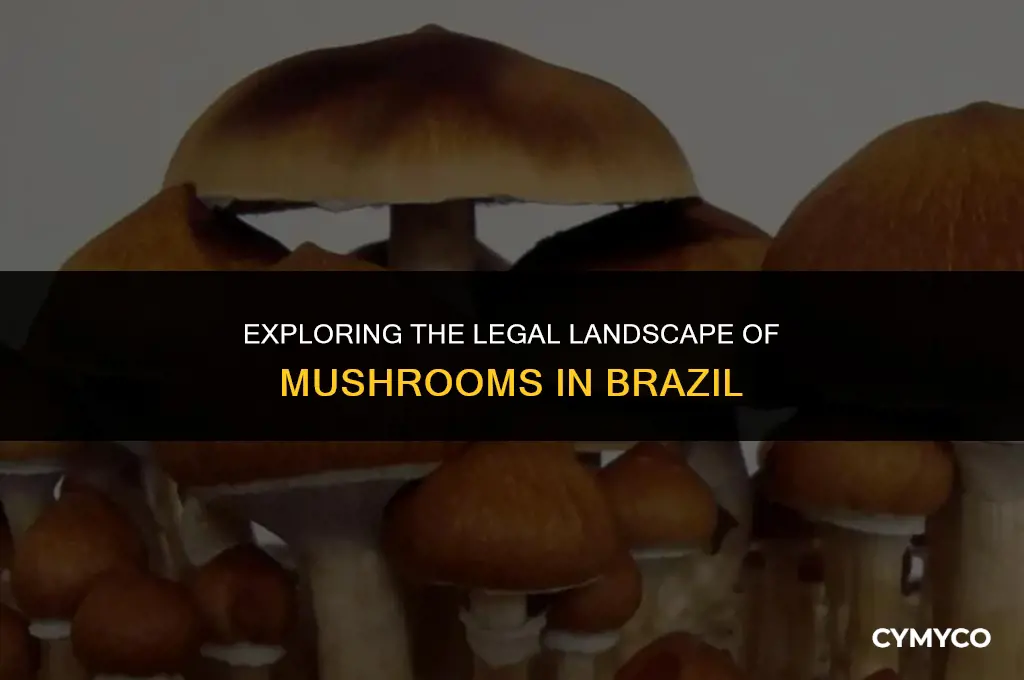 are mushrooms legal in brazil
