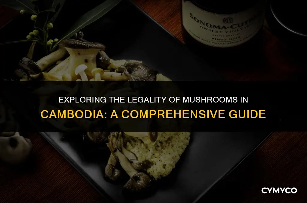 are mushrooms legal in cambodia