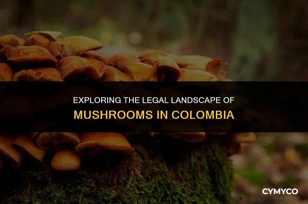 are mushrooms legal in colombia