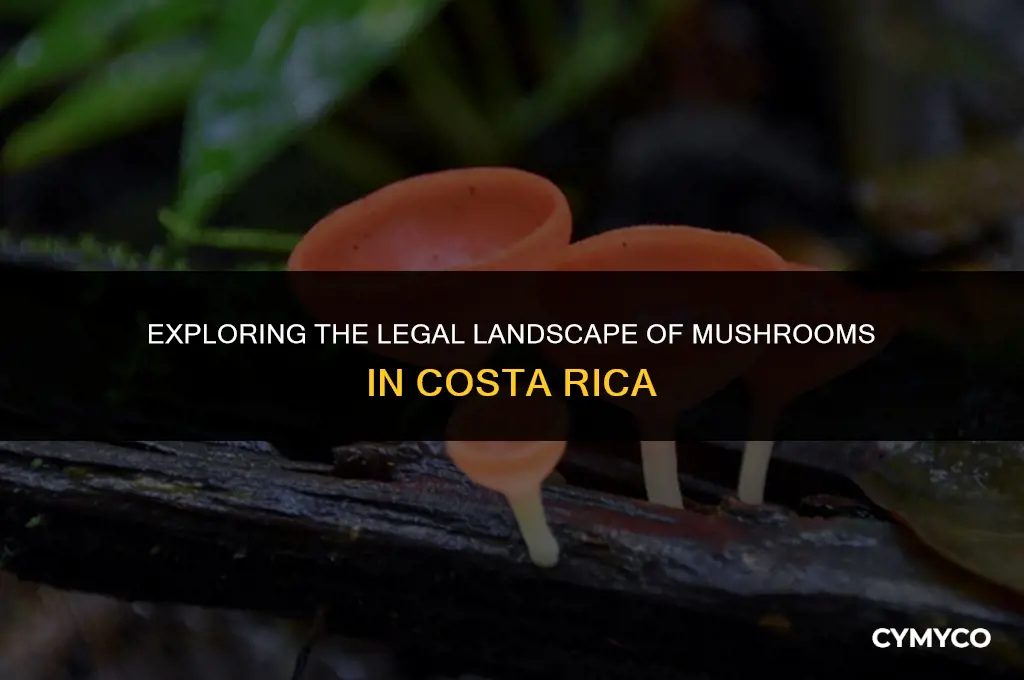 are mushrooms legal in costa rica