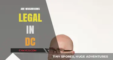 Are Mushrooms Legal in DC? Understanding Current Laws and Regulations