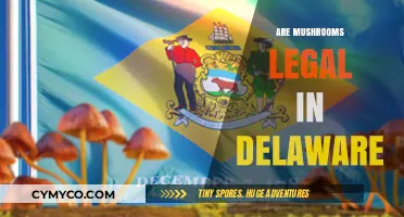 Exploring the Legality of Mushrooms in Delaware: A Comprehensive Guide