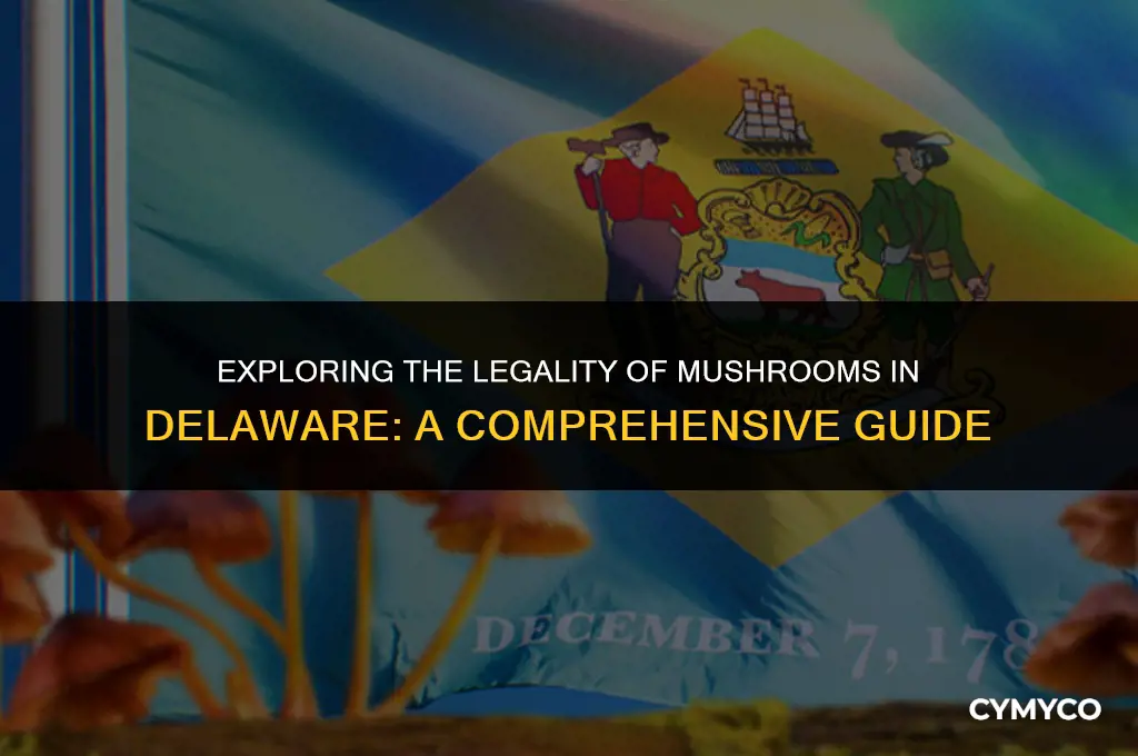 are mushrooms legal in delaware