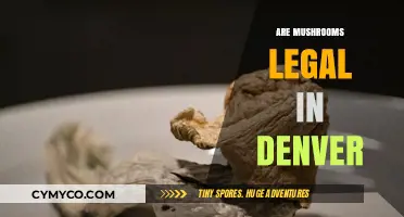 Exploring Denver's Laws: Are Mushrooms Legal in the Mile High City?