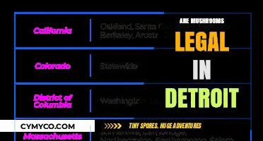 Exploring the Legality of Mushrooms in Detroit: A Comprehensive Guide