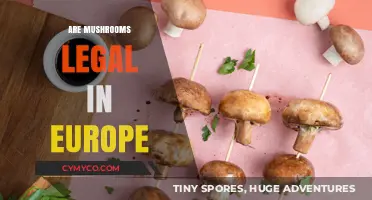 Exploring the Legal Landscape of Mushrooms in Europe