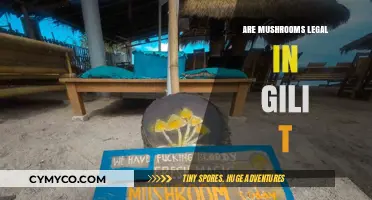 Exploring the Legal Status of Mushrooms in Gili Trawangan