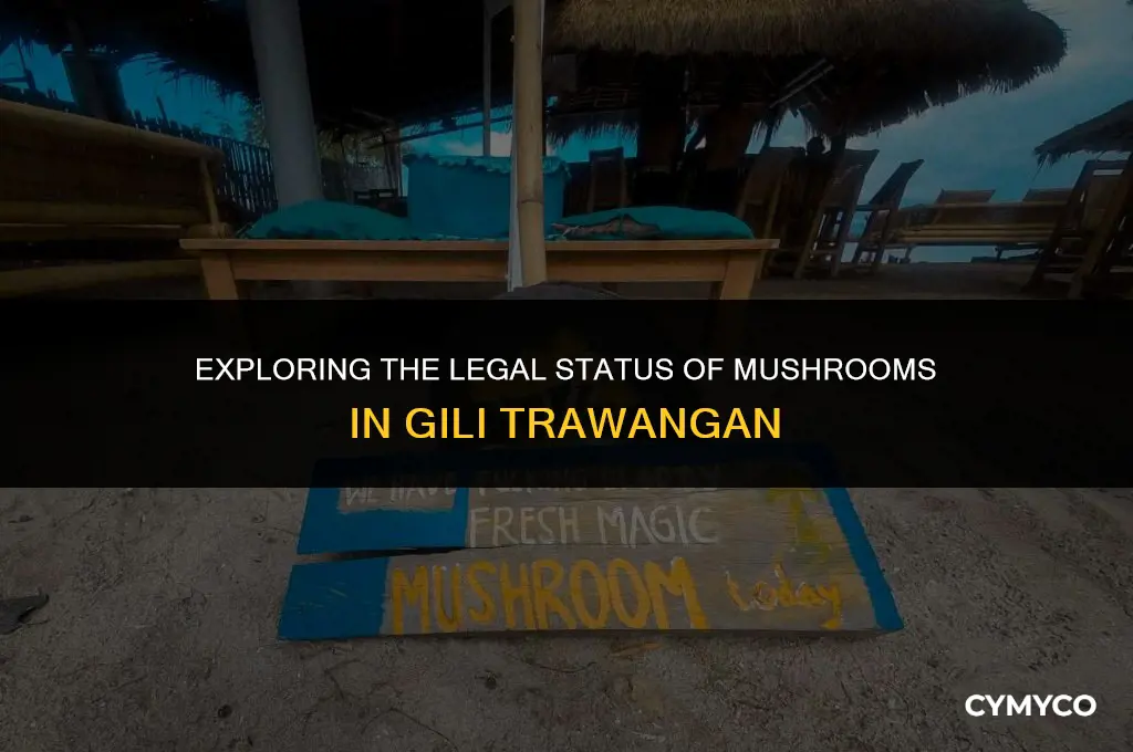 are mushrooms legal in gili t