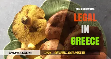 Exploring the Legal Landscape of Mushrooms in Greece