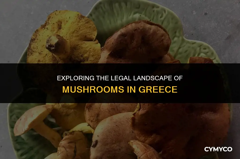 are mushrooms legal in greece