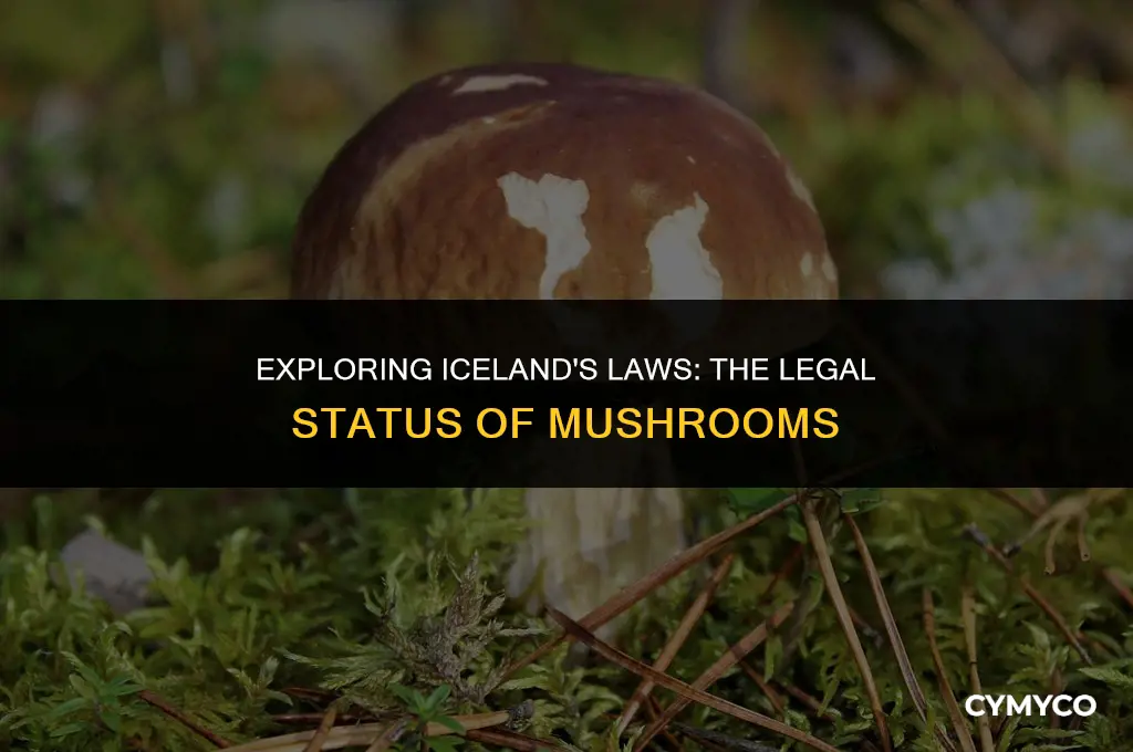are mushrooms legal in iceland
