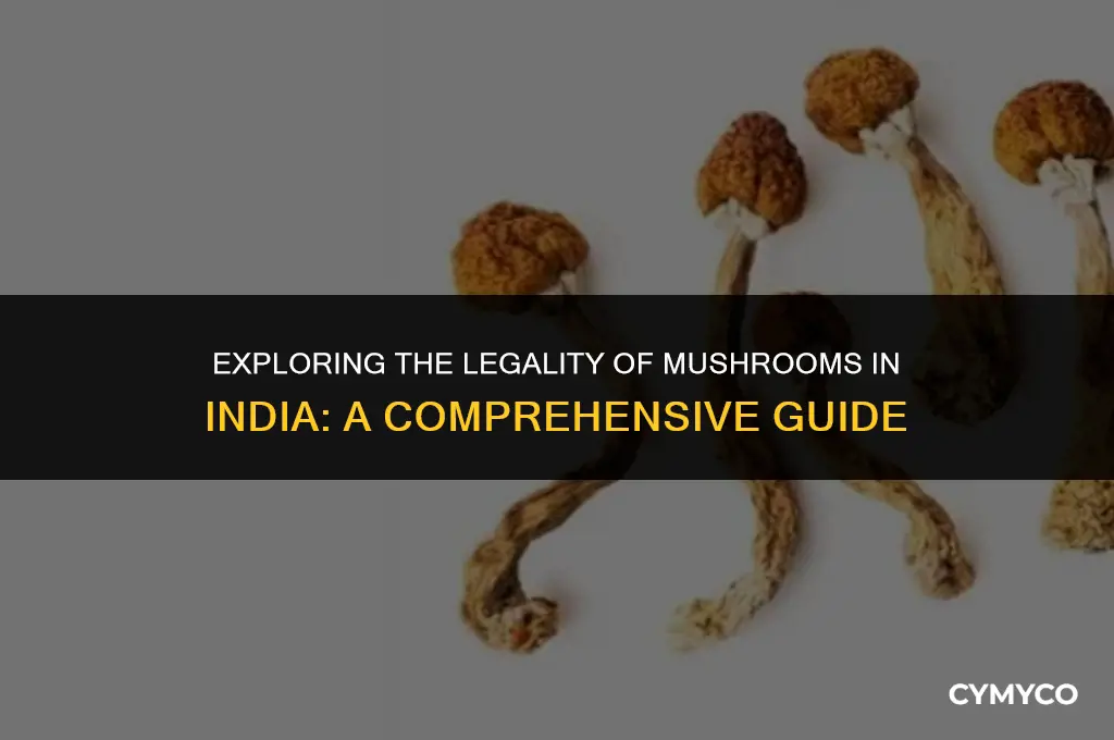 are mushrooms legal in india
