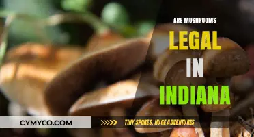 Are Mushrooms Legal in Indiana? Exploring Psilocybin Laws and Regulations
