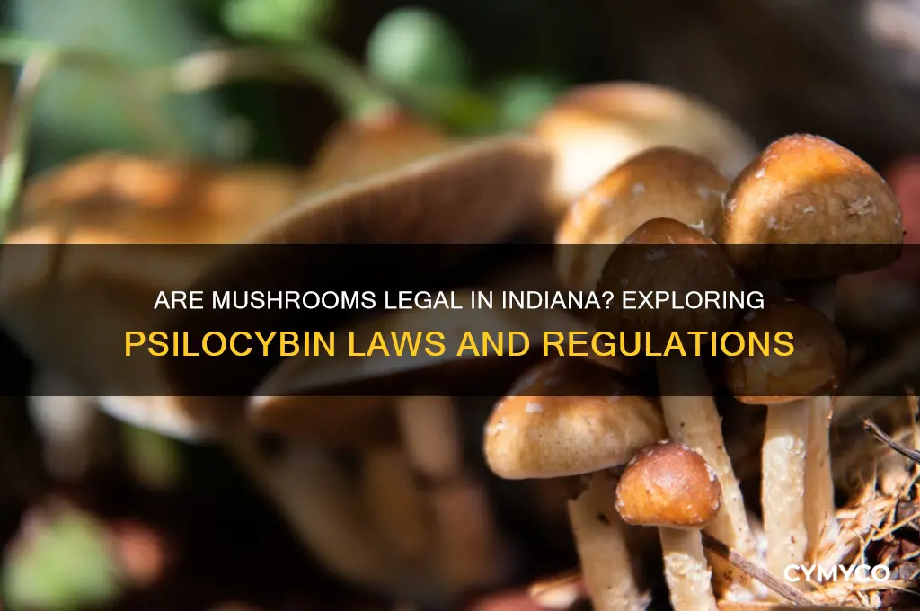 are mushrooms legal in indiana