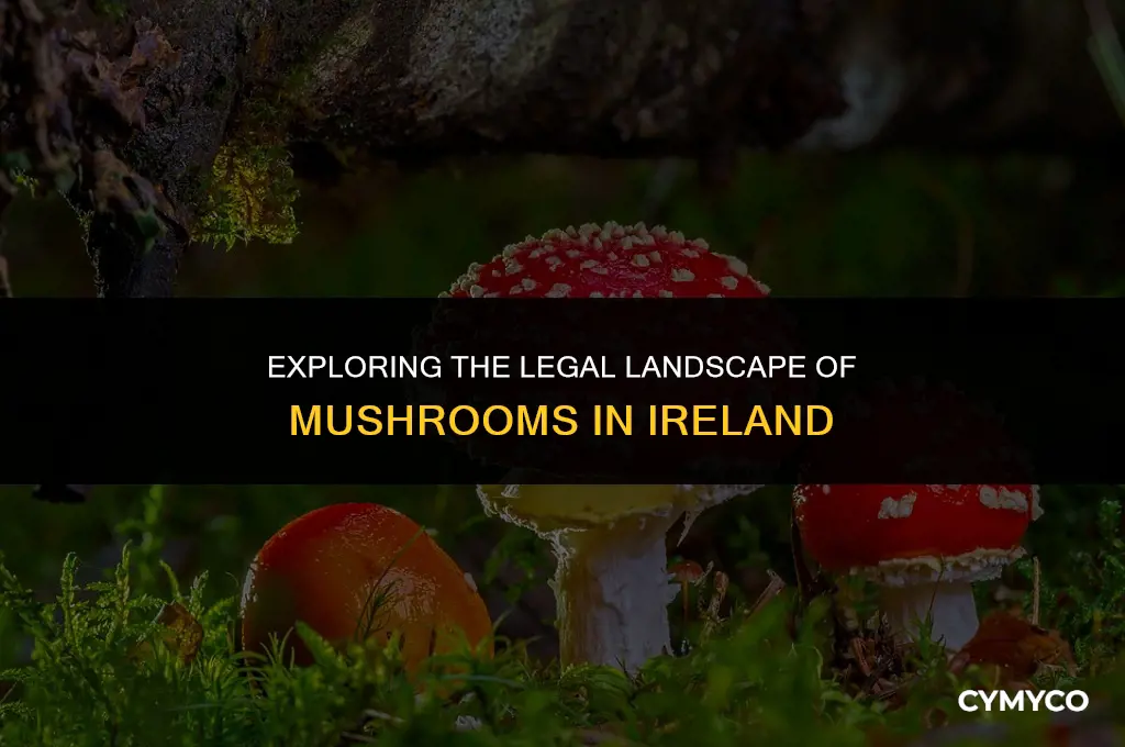 are mushrooms legal in ireland