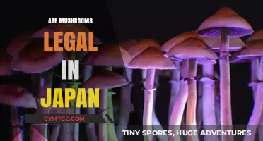 Exploring the Legal Landscape of Mushrooms in Japan