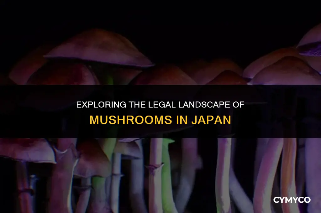 are mushrooms legal in japan