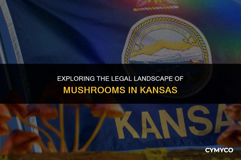 are mushrooms legal in kansas