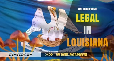 Exploring the Legal Landscape of Mushrooms in Louisiana