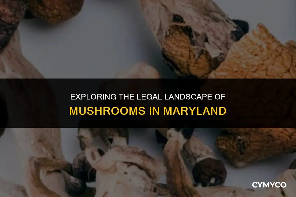 are mushrooms legal in md