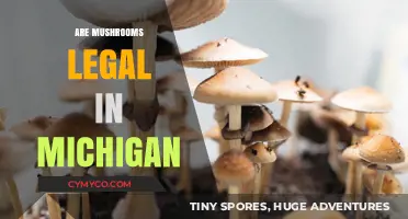 Are Mushrooms Legal in Michigan? Understanding Psilocybin Laws and Regulations