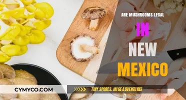 Are Mushrooms Legal in New Mexico? A Comprehensive Guide