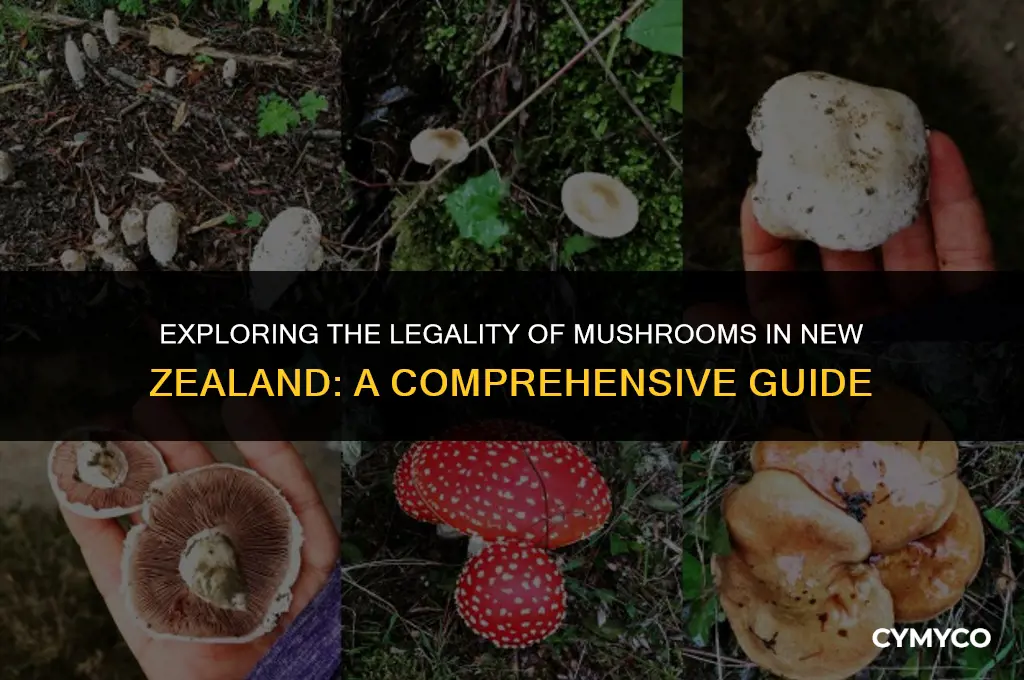 are mushrooms legal in new zealand