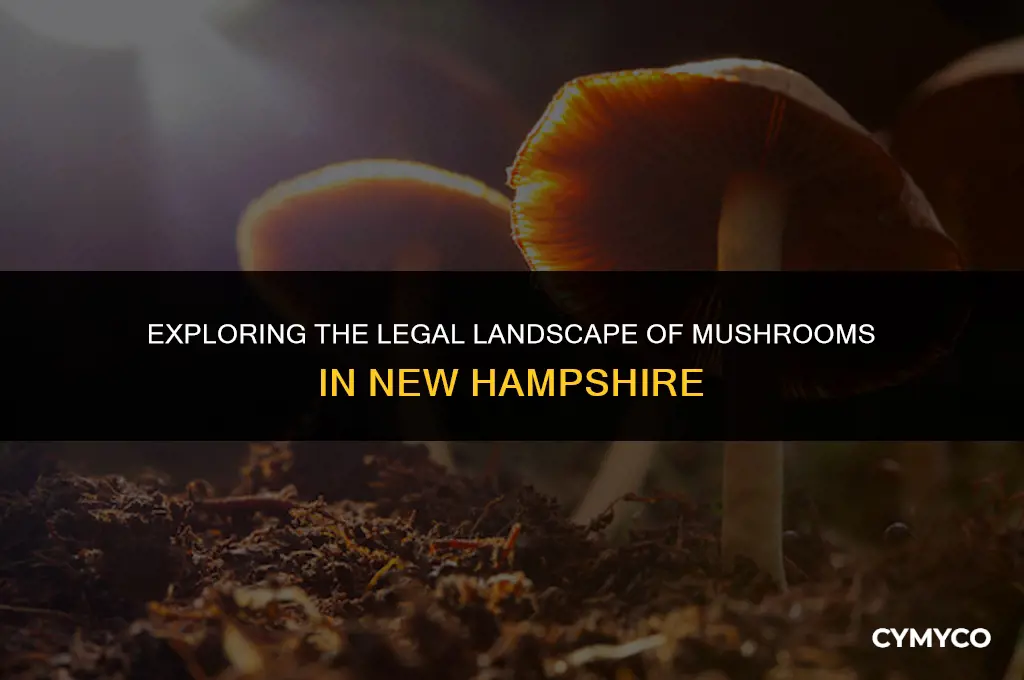 are mushrooms legal in nh