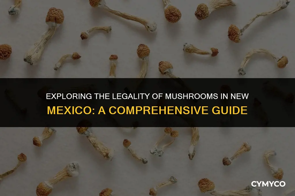 are mushrooms legal in nm