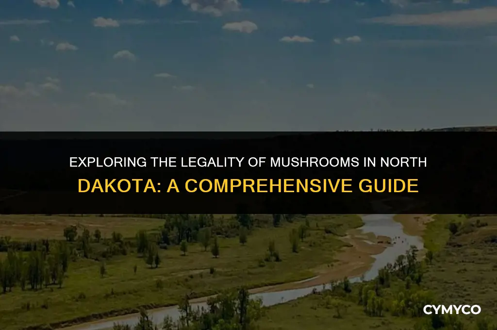 are mushrooms legal in north dakota