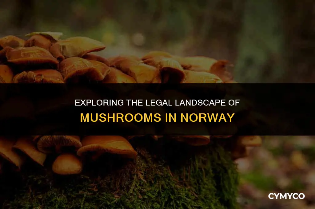 are mushrooms legal in norway