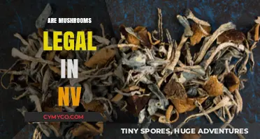 Exploring the Legal Landscape of Mushrooms in Nevada