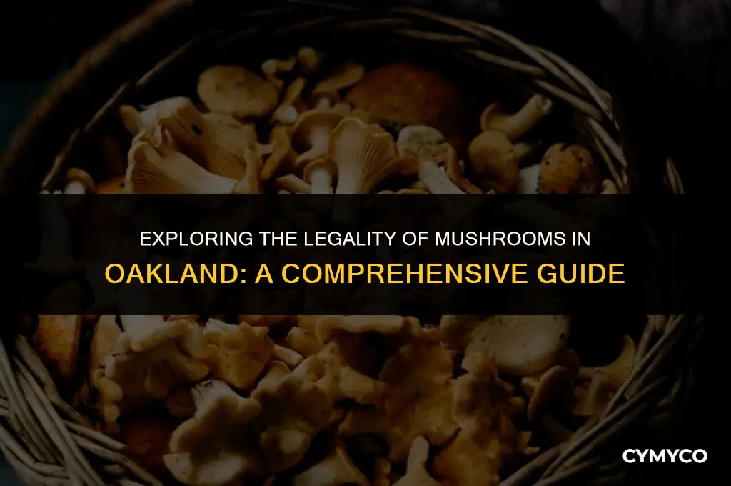 are mushrooms legal in oakland