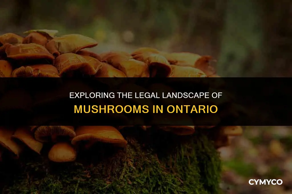 are mushrooms legal in ontario