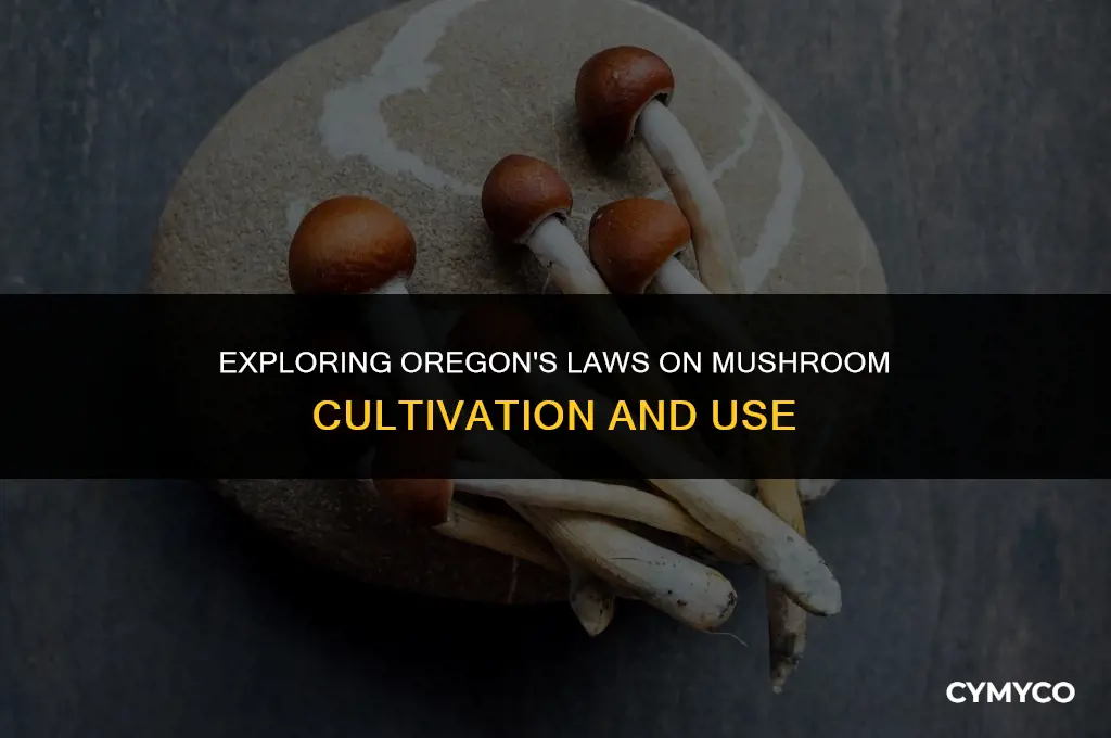 are mushrooms legal in oregan