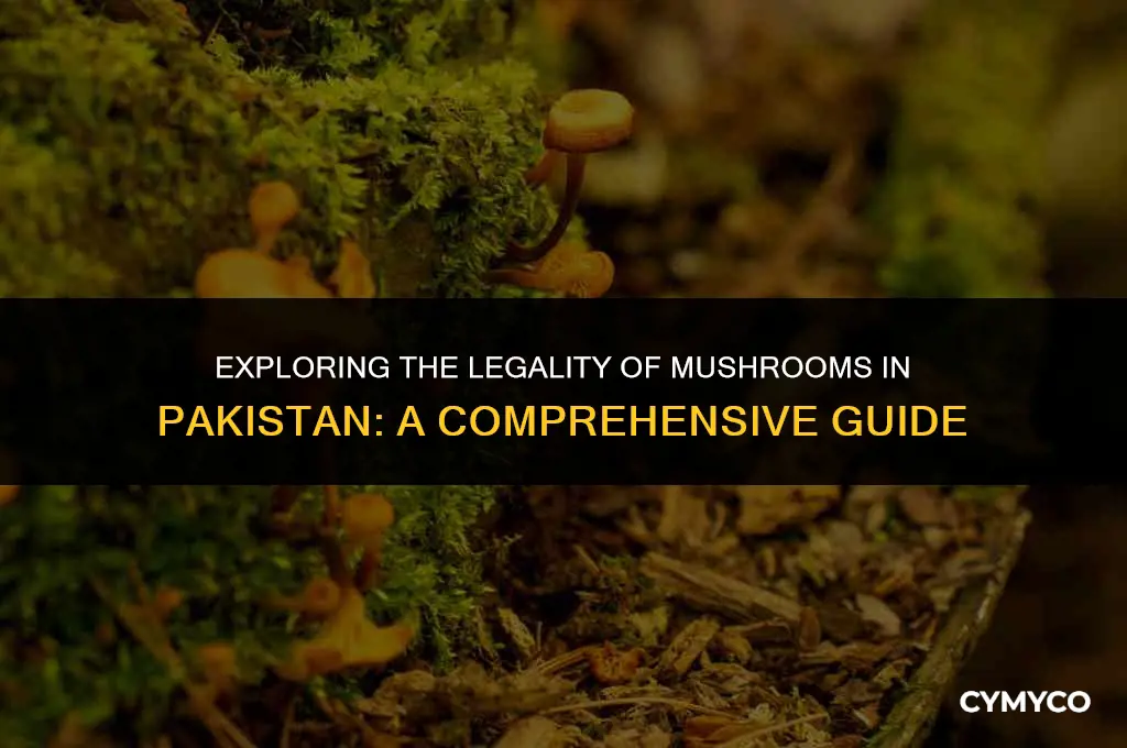are mushrooms legal in pakistan