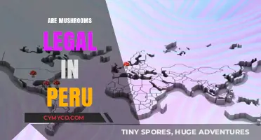 Exploring the Legal Landscape of Mushrooms in Peru