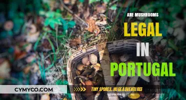Exploring Portugal's Legal Landscape: Are Mushrooms Permitted?
