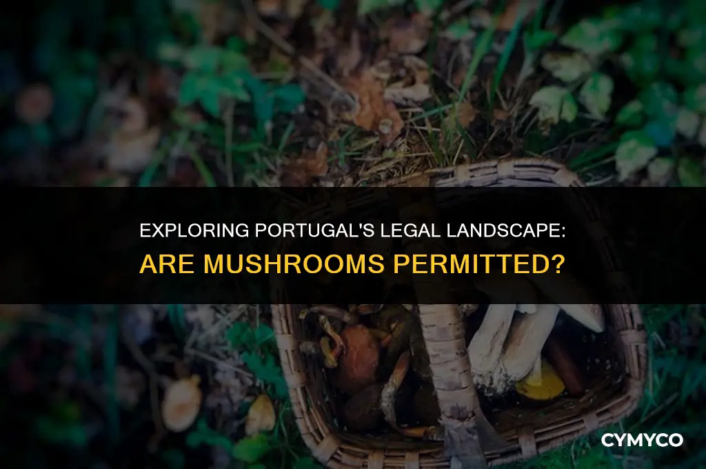 are mushrooms legal in portugal