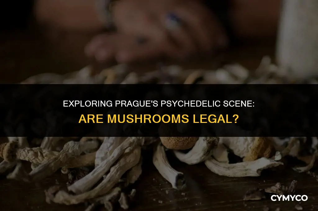 are mushrooms legal in prague