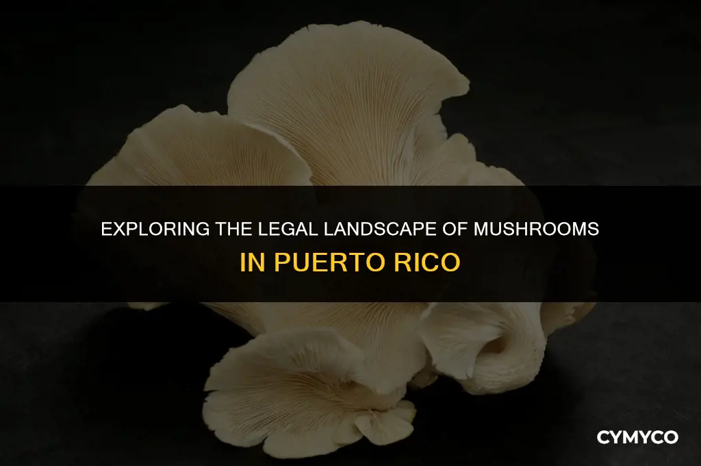 are mushrooms legal in puerto rico