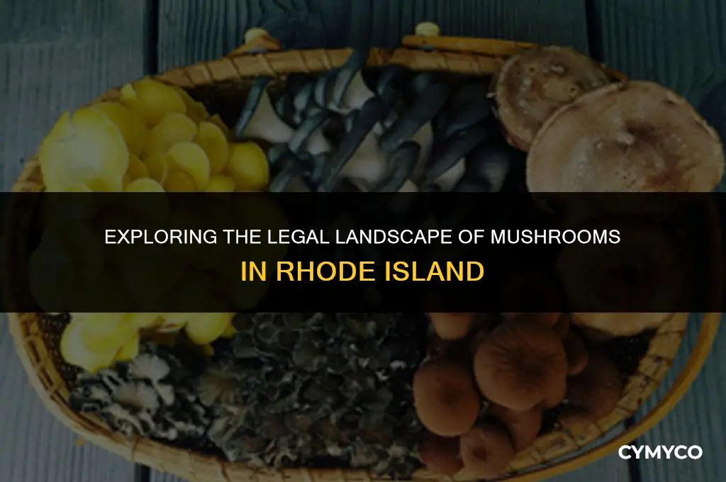 are mushrooms legal in rhode island