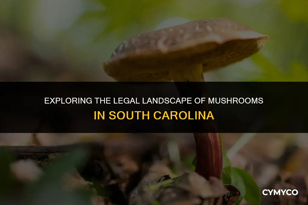 are mushrooms legal in sc
